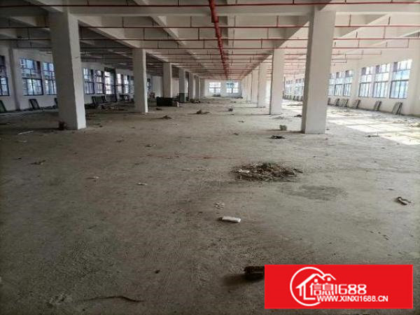 全新厂房12万平方，大小可以分租。