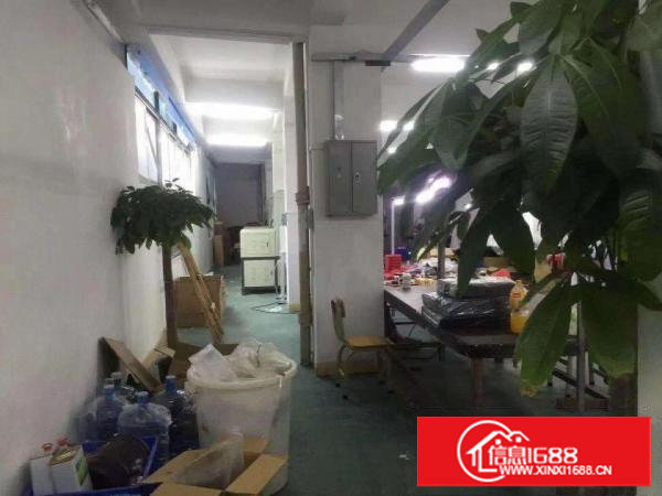 塘厦石马市场附近电子手袋组装厂房出租500平水电齐全