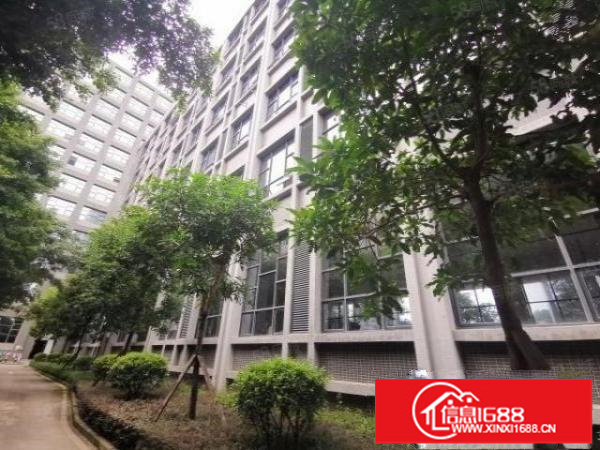 出租！原房东李朗新出楼上800坪精装厂房