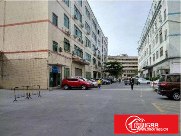 常平还珠沥新出独院一楼二楼各750平米带装修厂房招租