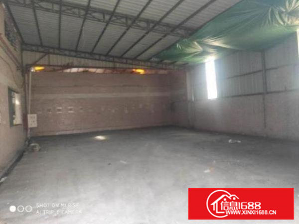 塘厦石马珍珠棉家具工艺品塑胶抽粒钢构厂房出租1800平