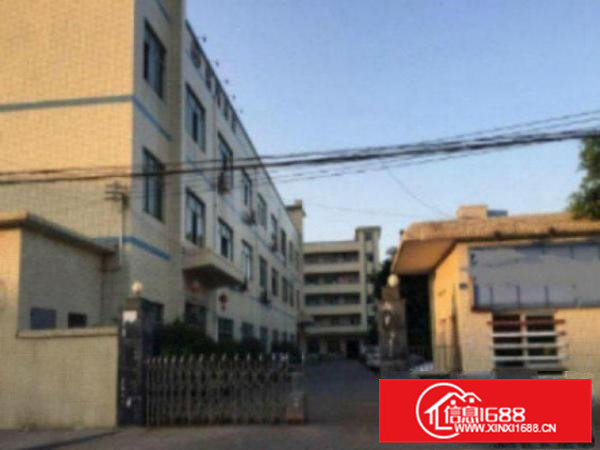 高埗标准一楼或二楼1500平方急租(现成办公室)宿舍按需