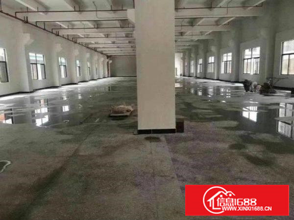 塘厦高速口原房东全新2250平方/层5层带消防电梯