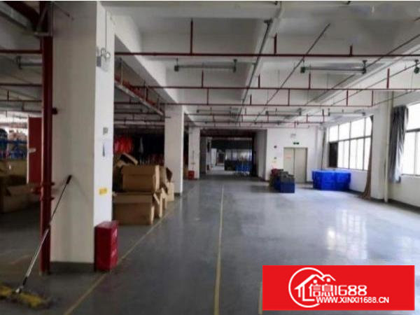 坂田天虹附近楼上原房东1300平精装修厂房（大小分租）