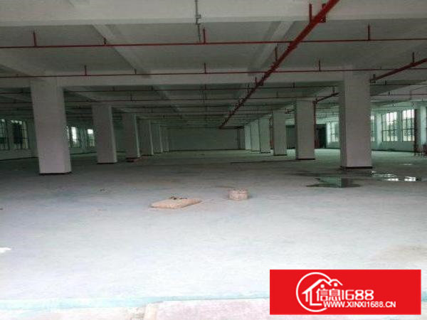 原房东独门独院厂房2000方，形象高大上，位置好