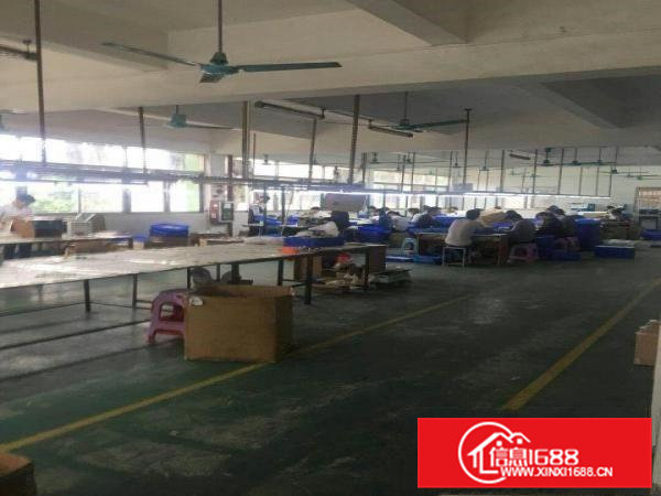 独院厂房出租6500平米