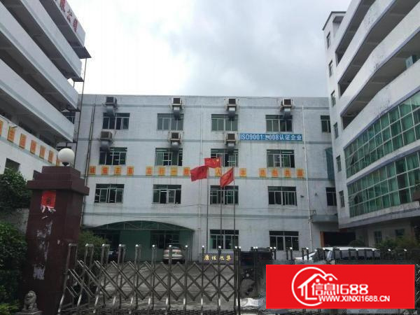 横岗安良1180平米厂房出租（免中介）