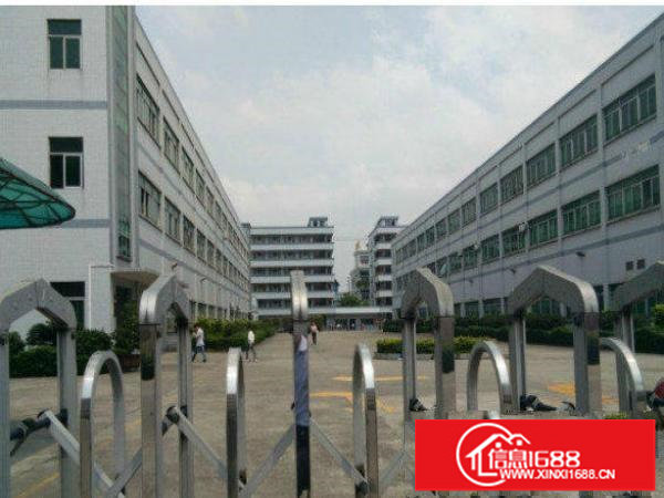 横岗龙岗大道一楼标准厂房3000平方高6.5米可分租