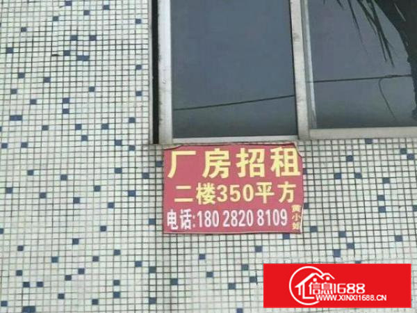 近松山湖独门独院厂房