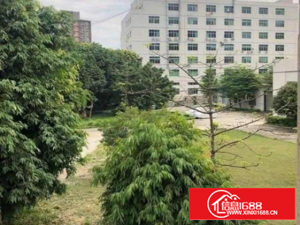 原房东石岩厂房二楼出租停车位多