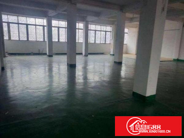 出租龙岗区228工业园新出标准一楼400平，无公摊，带卸货平