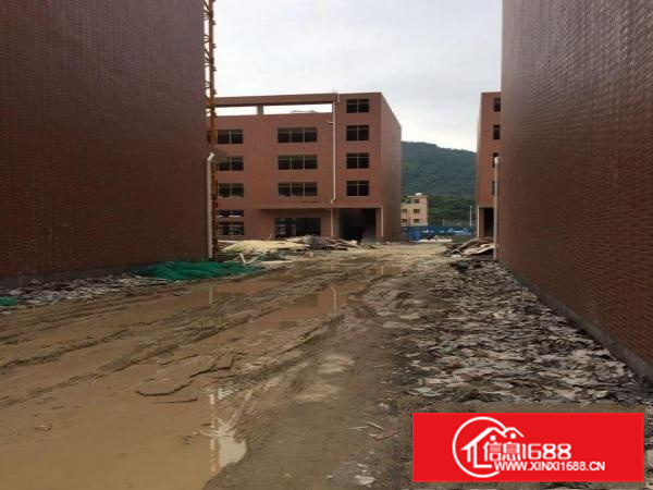 惠阳新圩全新独门独院四层厂房11000平方米招租