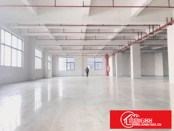 形象好带精装修容桂标准800方可办环评进车方便a