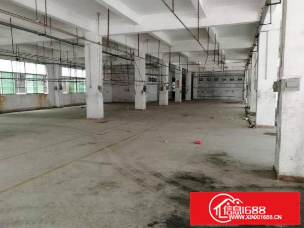 龙东爱南路边独院厂房一万平方招租