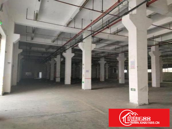 虎门怀德社区一楼3500平原房东红本厂房出租可分租