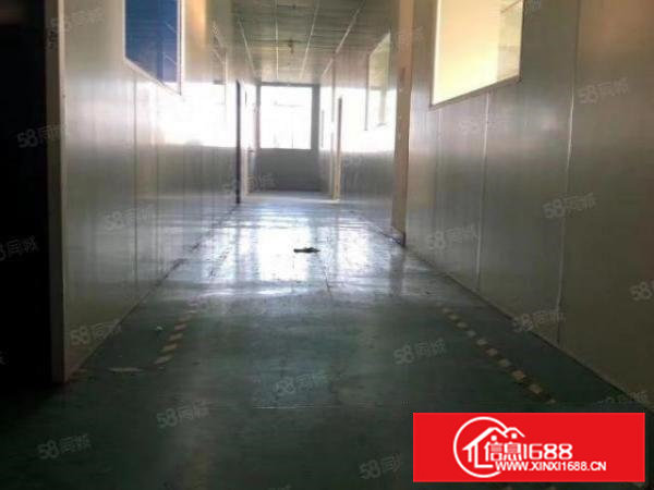 茶山稀有小独院厂房3000宿舍1000超低价格13元