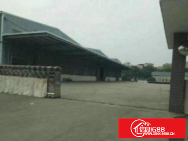 ?万江物流附近仓库出租帶卸货平台1000平方出租