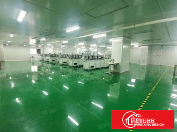 沙井万丰西部无尘车间出租