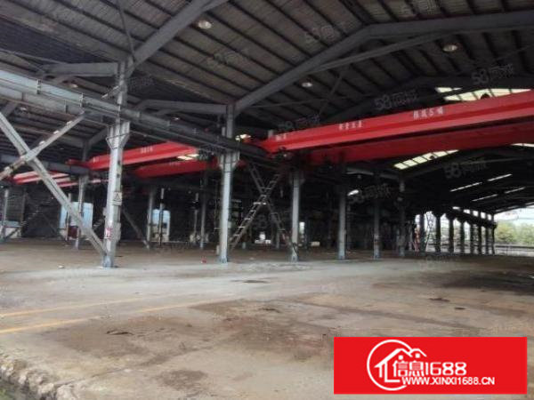 龙岗中心城原房东独院新出10米高钢构1800平厂房出租可分租