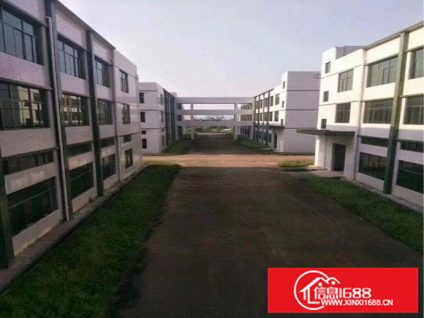 桥头镇大洲新空出带消防喷淋一楼带牛角5000平方