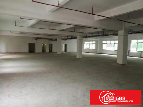 万江周边标准厂房楼上1000平米出租