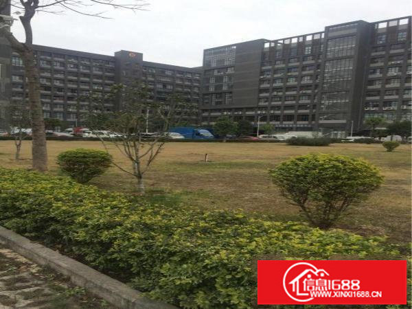 布吉下李郎精装1168平方