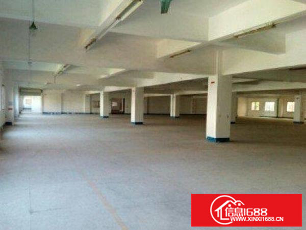 出租龙岗区横岗一楼2000平带装修厂房