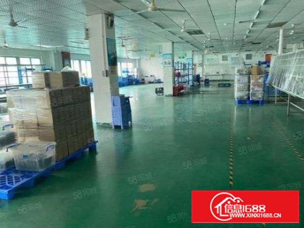 沙井新桥精装厂房出租900平方1200平