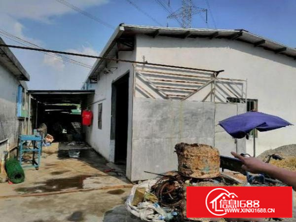 经典小独院，本地一手房东