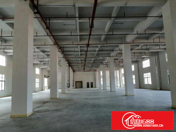 大朗工业园新出一楼厂房