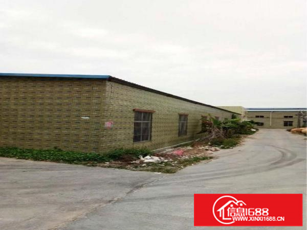 惠阳区新圩钢构独院厂房4500平方出租