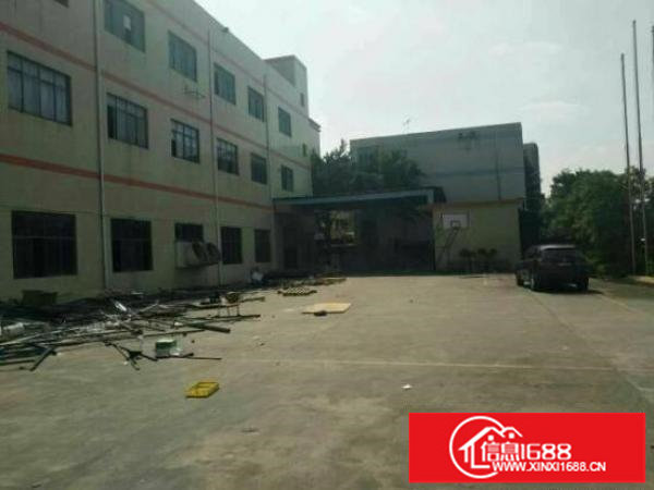 坪山碧岭新出原房东独院4500平米出租