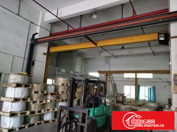 寮步新出原房东一楼750方出租