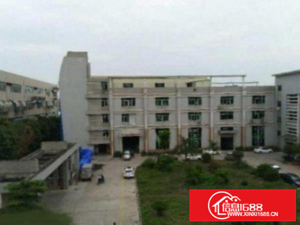 高埗花园式厂房分租一楼800平方，价格便宜,地段好