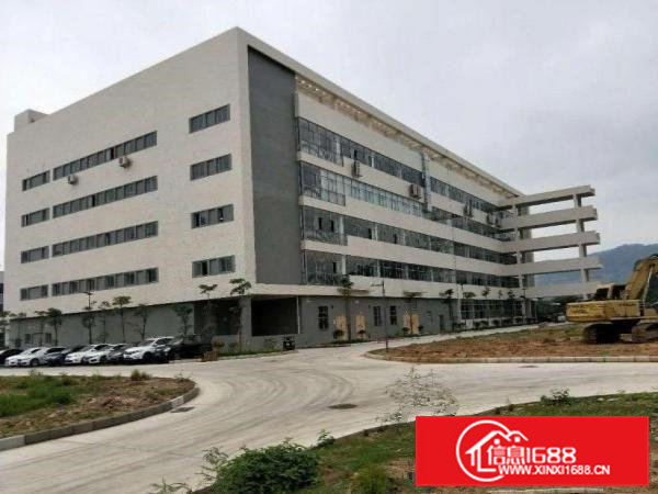 向西新出原房东厂房3楼1200平方带现成装修无公摊