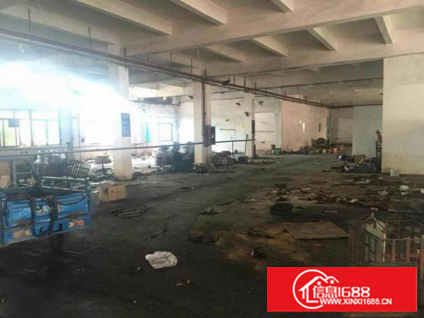 ~~田心700平米原房东一楼厂房，面积实，临四村/龙背岭~~