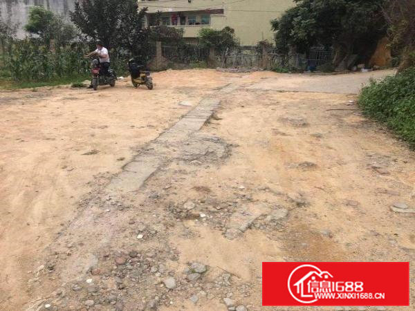 大岭山新出原房东独院单一层厂房700平现成办公室