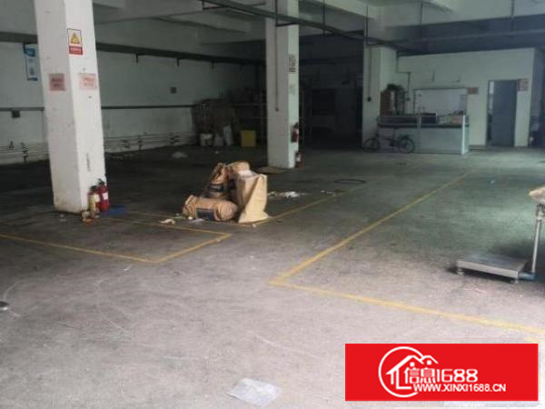 观澜新田一楼厂房出租