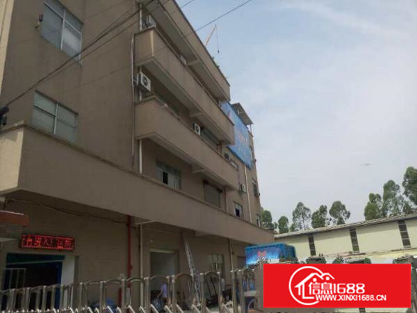 仲恺陈江独院厂房2600平方，可以分租、出入方便