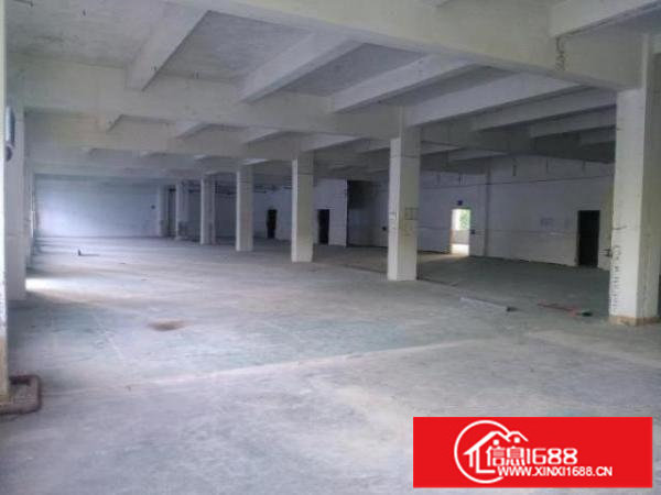 观澜君子布靓厂房出租