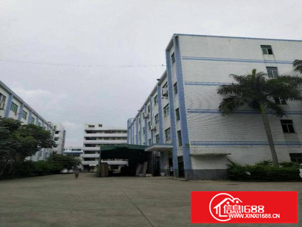 惠阳新圩标准厂房6500平方出租，带装修