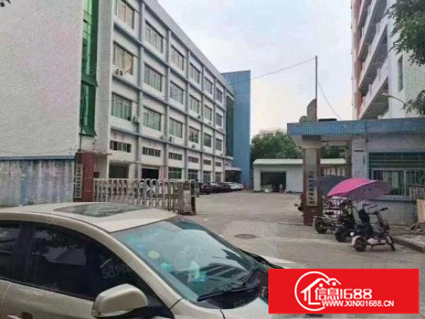 天堂围新出楼上原房东厂房出租1000平