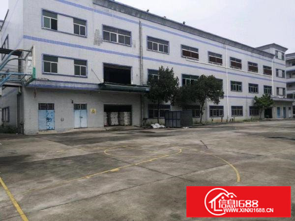 大朗镇洋坑塘村新出原房东独院分租一楼1500平方