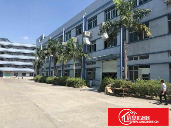 桥头镇原房东独院厂房出租3500平方租金便宜无公摊