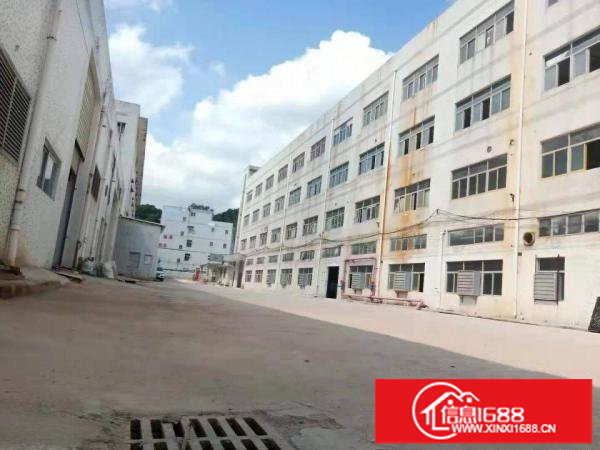 原房东横岗红本独院厂房招租单层4100平方大小分租