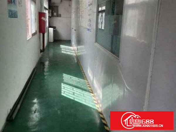 出租光明区长圳无尘厂房（分租）
