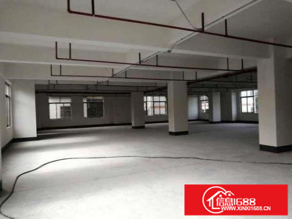 一手房东急租大朗竹山1800平方独院两层厂房形象非常漂亮