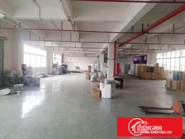 带消防喷淋办公室浸校塘标准厂房出租楼上1050平价格便宜