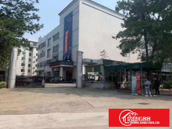 业主招租形象好容桂标准3500方厂房出租