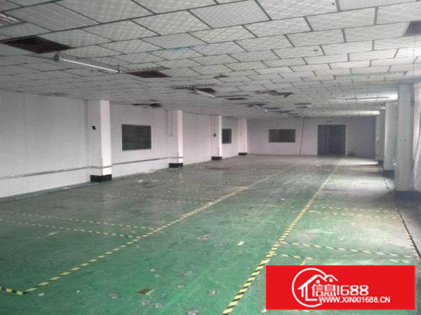 清溪镇中心6500平方标准独院厂房出租